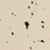 Sand Speckle